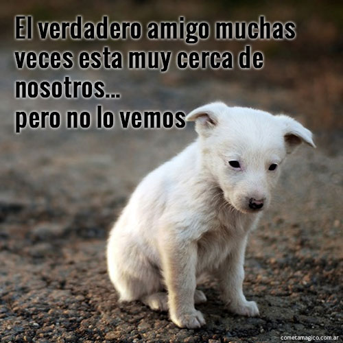 FRASES PARA EL DIA DEL AMIGO