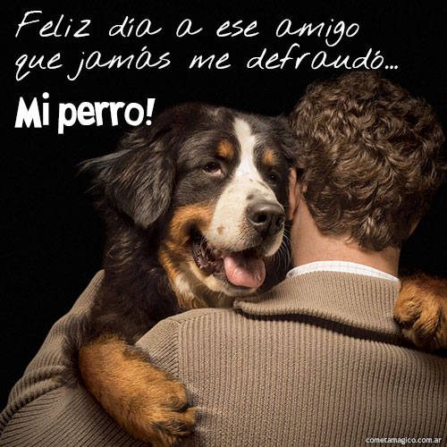 FRASES PARA EL DIA DEL AMIGO