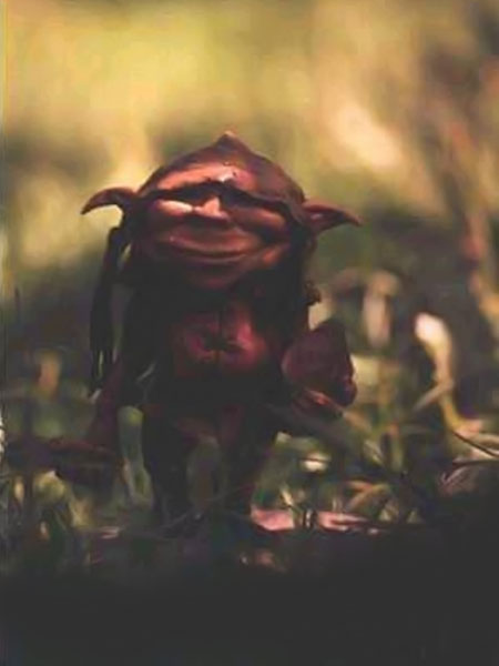 imagenes de duendes reales